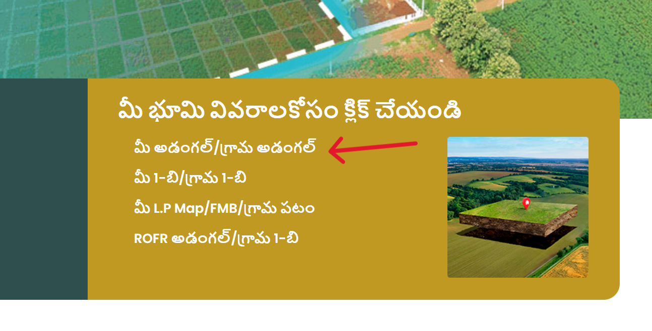 మీ అడంగల్గ్రామ అడంగల్